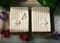 Cosmetic Grade White Beeswax Pellets for DIY Lip Balms & Candles